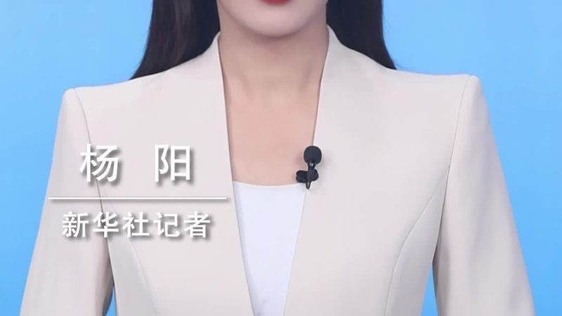 数据安全等级保护：企业选型关键要素解析